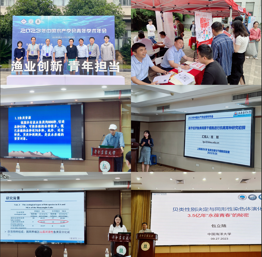 1696744095195087210.png 截圖_選擇區(qū)域_20231008142204.png